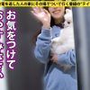 Thumbnail of related posts 170