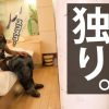 Thumbnail of related posts 090
